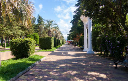 BATUMI, GEORGIA - September 1, 2017: Nice valley on Batumi boulevard. Batumi is a very popular destination on Black Seaのeditorial素材