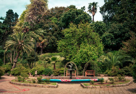Botanical gardens in Batumi.Georgiaの写真素材