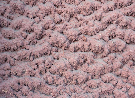 Abstract texture of stone backgroundの写真素材