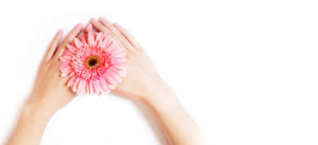 Hands with flower in salon with copy spaceの写真素材