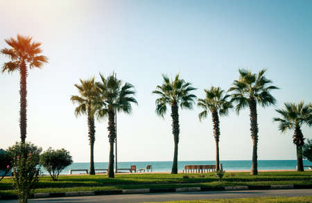 Modern park in Batumi city. Batumi . Georgiaの写真素材