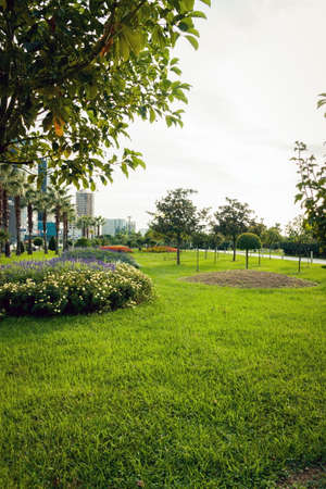 Modern park in Batumi city. Batumi . Georgiaの写真素材