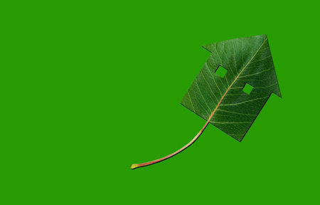 Green eco house leaf on the greenの写真素材
