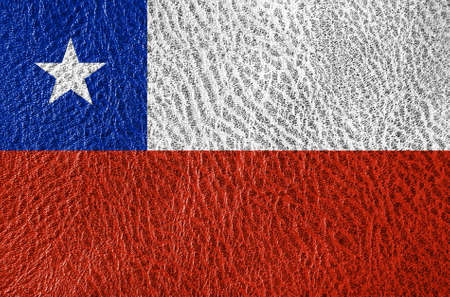 abstract leather texture with the flagの写真素材