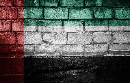 Dark brick wall with the flag