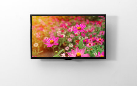 TV monitor on the wall