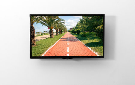 TV monitor on the wall