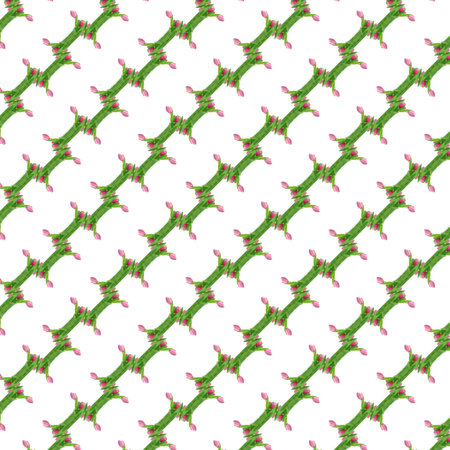 Abstract pattern of the pink tulips