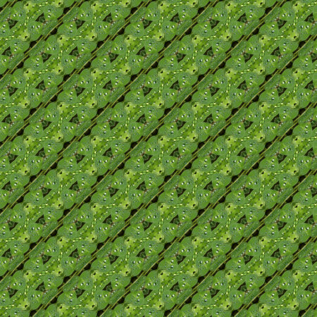 Abstract pattern of the green flora