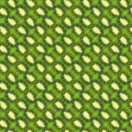 Abstract pattern of the kiwiの写真素材