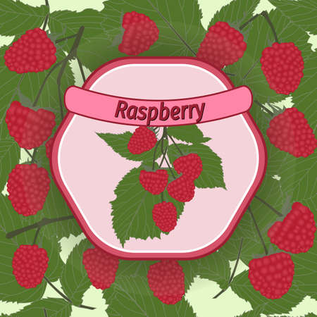 raspberry with berries and branches, vector labelのイラスト素材