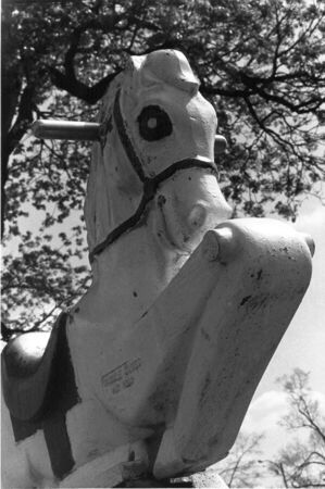 Playground Horseの写真素材