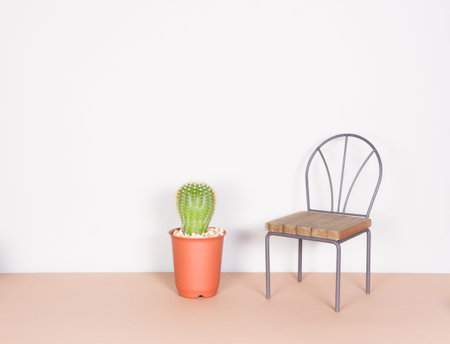 cactus and mini chair, minimalism styleの写真素材