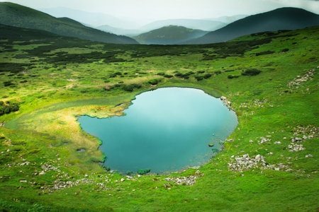 Alpine lake in a green valleyの写真素材
