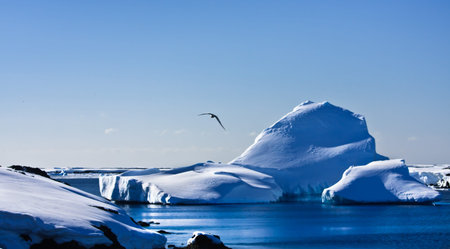 Antarctic iceberg in the snowの写真素材