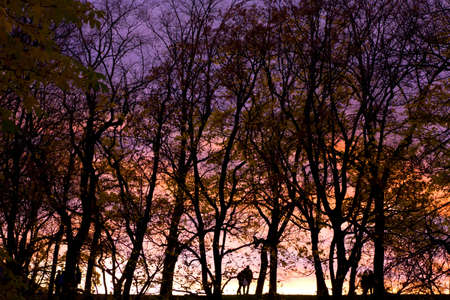 Young people silhouette photos about landscape outdoorの写真素材