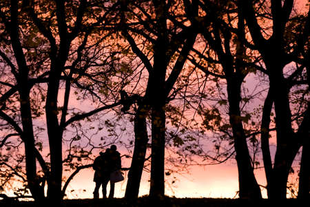 Young people silhouette photos about landscape outdoorの写真素材