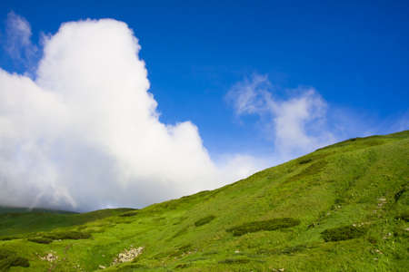 Green meadow and blue sky with cloudsの写真素材