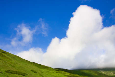 Green meadow and blue sky with cloudsの写真素材