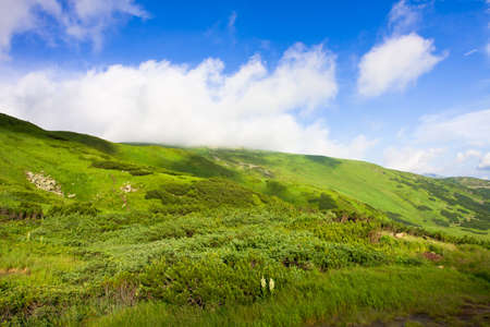Green meadow and blue sky with cloudsの写真素材