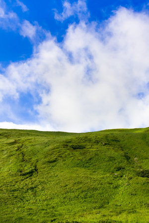 Green meadow and blue sky with clouds