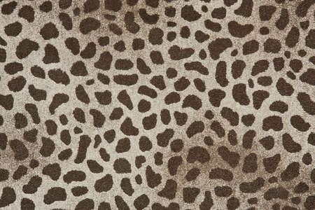 fabric textile texture for background close-upの写真素材