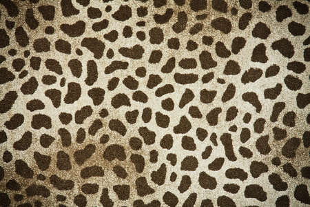 fabric textile texture for background close-upの写真素材