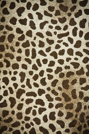 fabric textile texture for background close-upの写真素材