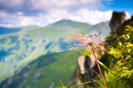 Beautiful mountains landscape in Carpathianの写真素材