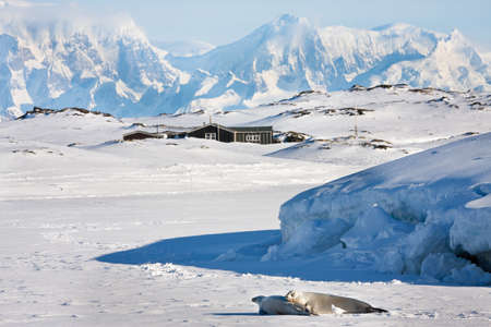 Beautiful landscape in  Antarcticaの写真素材
