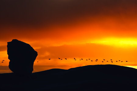 Birds fly in the background of a beautiful sunset. Antarcticの写真素材