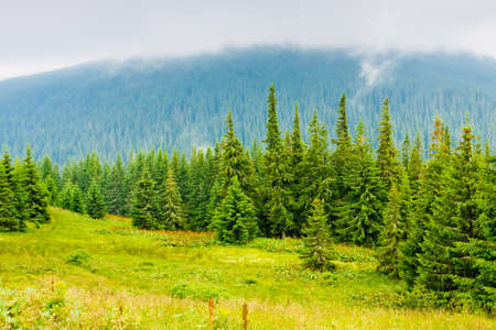 Beautiful mountains landscape in Carpathianの写真素材