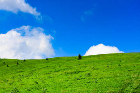 Blue cloudy sky and green spring hillの写真素材