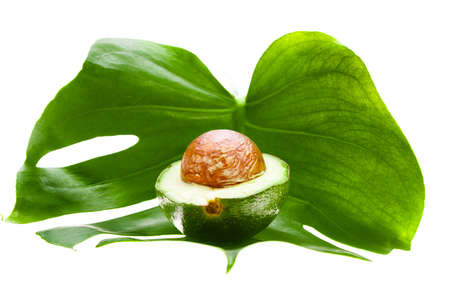 half of an avocado on a whiteの写真素材