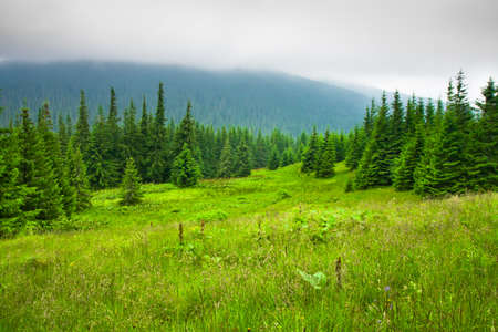 Beautiful mountains landscape in Carpathianの写真素材