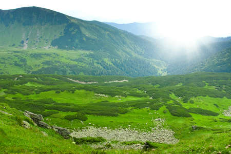 Beautiful mountains landscape in Carpathianの写真素材