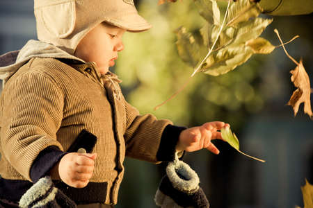 Beautiful little boy with autumn leaves outdoorsの写真素材
