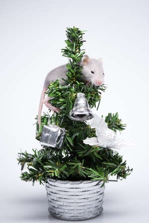 Gray mouse sitting on a toy treeの写真素材