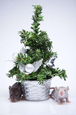 Gray mice sitting near a toy treeの写真素材