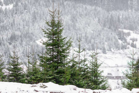 beautiful winter  sceneryの写真素材
