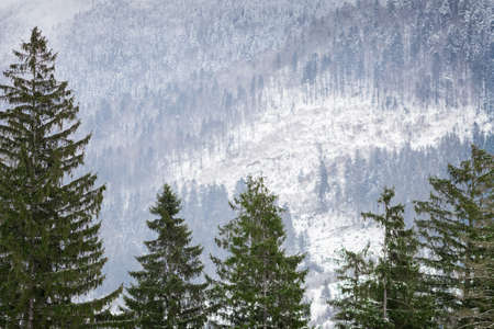 beautiful winter  sceneryの写真素材
