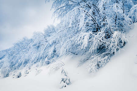 beautiful winter  sceneryの写真素材