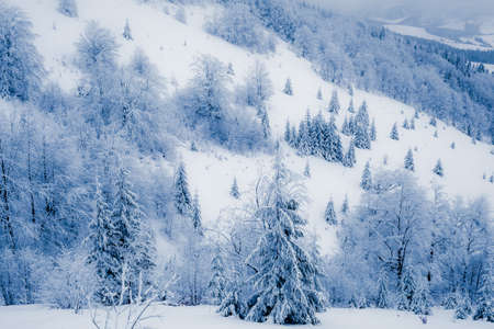 Beautiful winter landscapeの写真素材