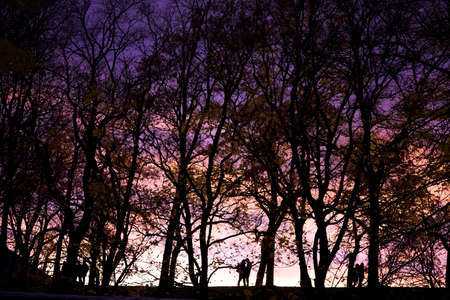 Young people silhouette photos about landscape outdoorの写真素材