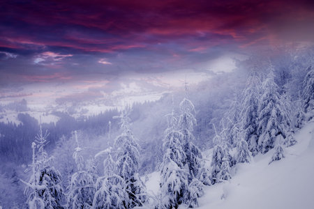 beautiful winter  sceneryの写真素材