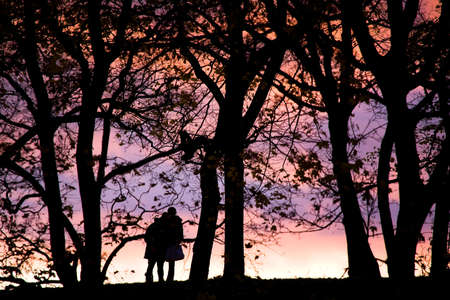 Young people silhouette photos about landscape outdoorの写真素材
