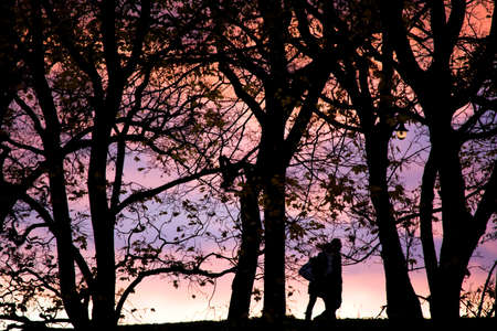 Young people silhouette photos about landscape outdoorの写真素材
