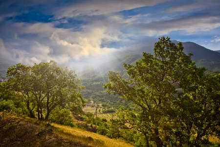 beautiful view of the forest at dawnの写真素材