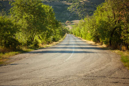 Country road beetwen trees and mountainsの写真素材