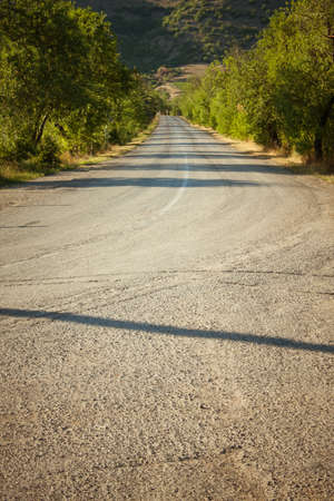 Country road beetwen trees and mountainsの写真素材
